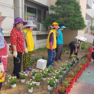 첨부 이미지 4-[밤실마을 싱싱하우스] 아름다운 마을가꾸기 