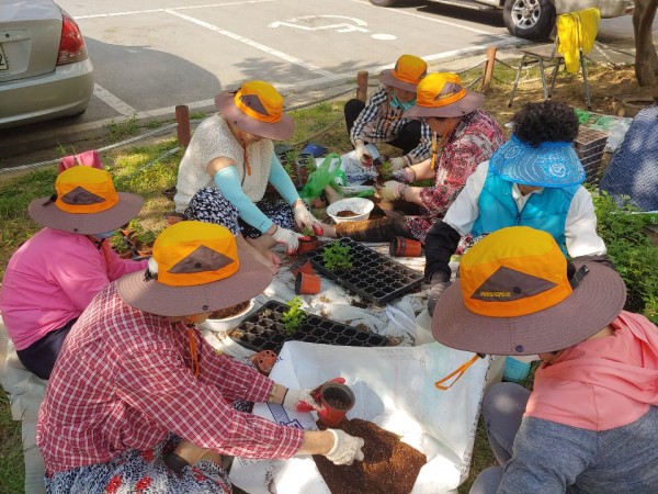첨부 이미지 2-2020년 밤실마을 싱싱하우스 공동가꾸기 활동 진행