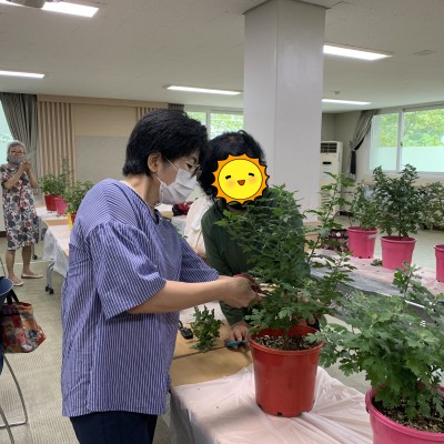 첨부 이미지 3-밤실마을 싱싱하우스 3회기 전문가교육 진행