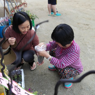 첨부 이미지 2-[가족역량] 플로리스트가 만든 꽃 전시회~ 