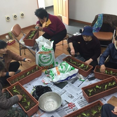 첨부 이미지 3-[독거노인친구] 봄봄봄, 봄이 왔어요~ 어르신들의 마음에도!!