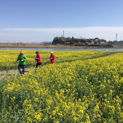 첨부 이미지 3-[독거노인친구] 봄맞이 꽃구경 가기~ 