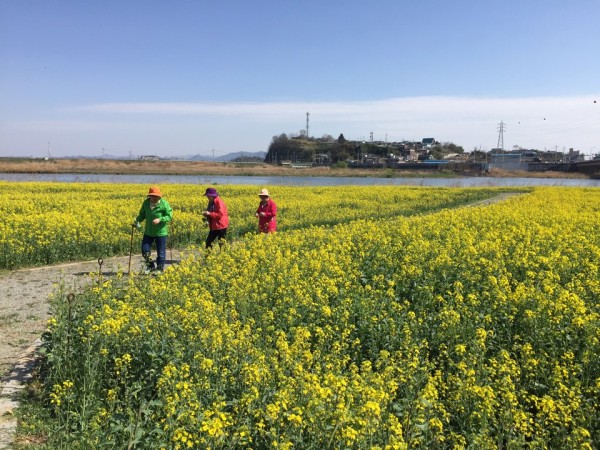 첨부 이미지 3-[독거노인친구] 봄맞이 꽃구경 가기~