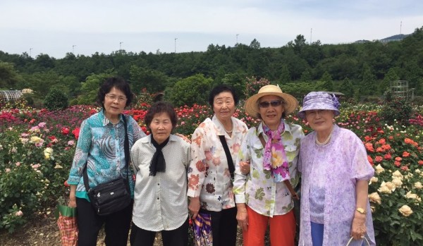 첨부 이미지 2-[독거노인친구만들기] 계절의 여왕 5월에 장미꽃 보고 왔어요~